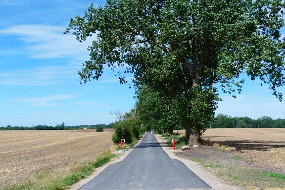 Einweihung Radweg © Regionalpark Barnimer Feldmark e.V.